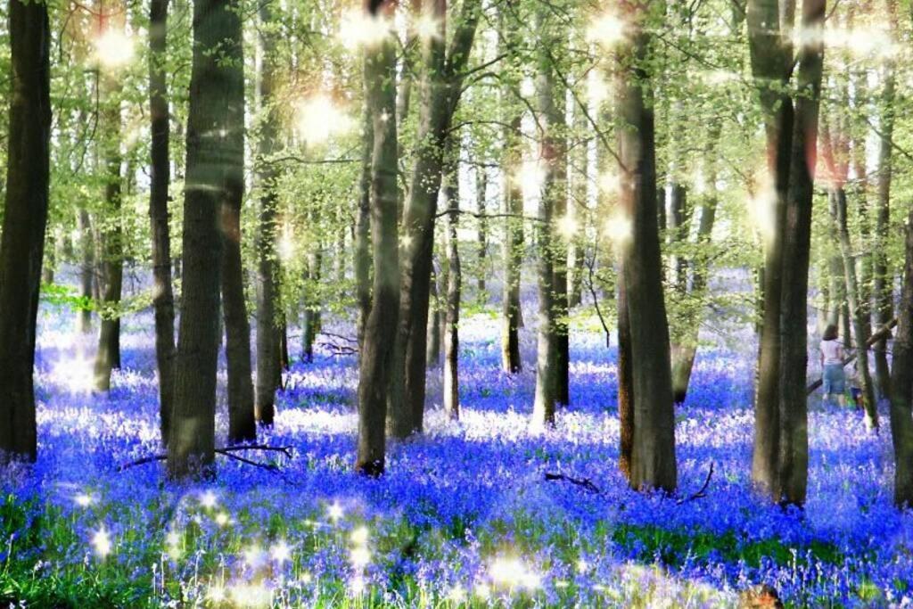 Appartamento The Little Acorn Lydney Esterno foto